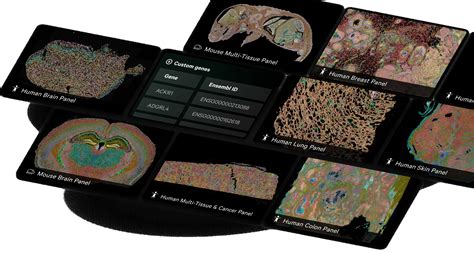 Technologies – Spatial Technologies Unit