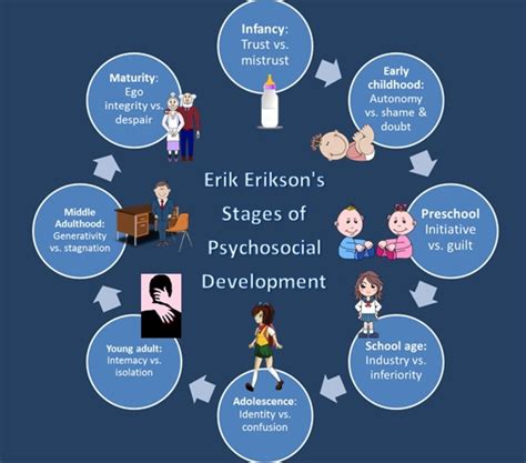 Erikson Stages Of Development Stages