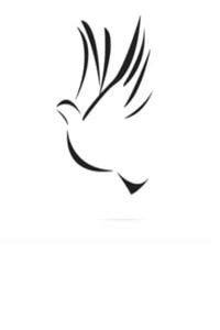 Obituaries at Stiney's Funeral Home | Hardeeville, SC in Hardeeville