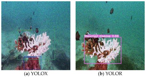MAFFN_YOLOv5: Multi-Scale Attention Feature Fusion Network on the ...