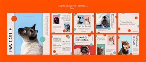 Pet instagram content PSD, High Quality Free PSD Templates for Download ...