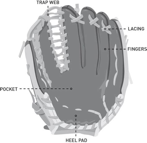 Baseball Glove 的图像结果
