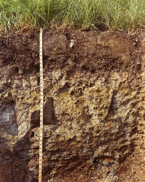 Image result for Soil Code