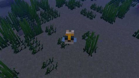Image result for Minecraft Puffer Fish Board