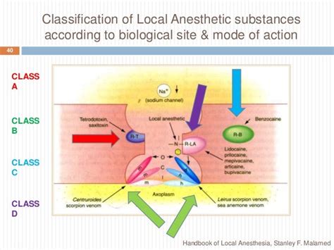 Composition of Local Anesthesia 的图像结果