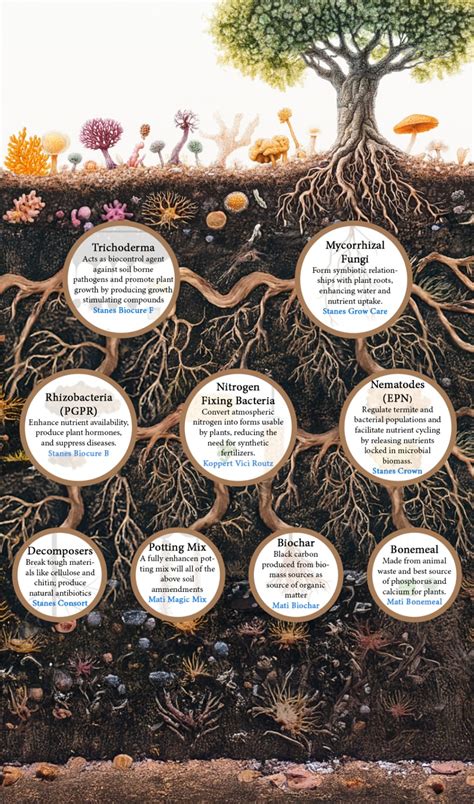 Soil – Matihaat - Organic Agriculture Inputs