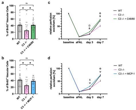 The Complement System Is Essential for Arteriogenesis by Enhancing ...