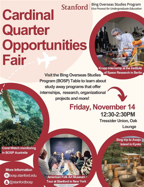 Cardinal Quarter Opportunities Fair | Bing Overseas Studies Programs