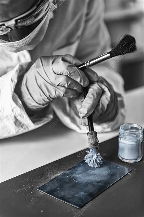 Forensic Science Laboratory 的图像结果