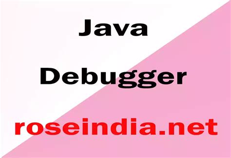 Image result for Debugger for Java Extension