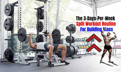 Image result for Muscle Building Weekly Workout Plan