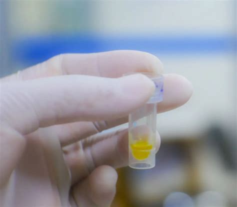 SEQGEN Life Sciences