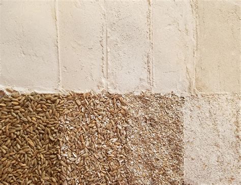 Rye Flour Classification: Untangling the Mess - THE RYE BAKER