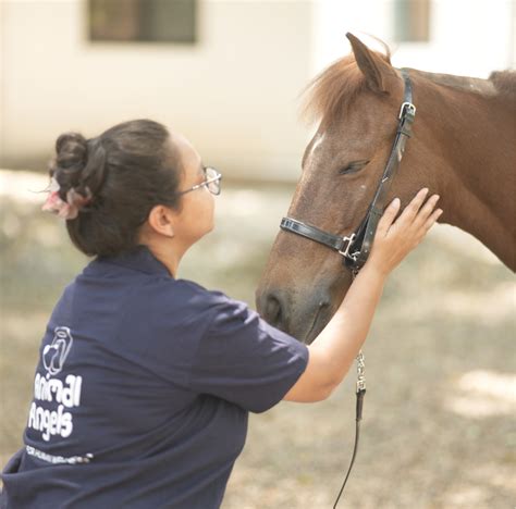 Animal Angels | India's Leading Animal Assisted Interventions Programe ...