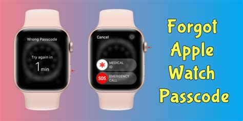 Forgot Passcode On Apple Watch 的图像结果