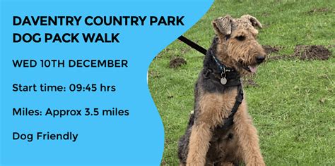 DAVENTRY COUNTRY PARK DOG PACK WALK | 3.2 MILES | NORTHANTS, The Car ...