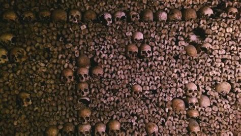 Catacombs Guides (Paris) - 2022 What to Know Before You Go (with Photos ...