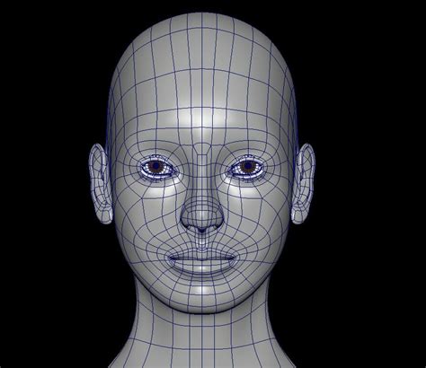Image result for Face 3D Modelling
