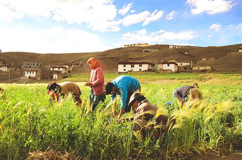 D'source People | Zama Pottery of Spiti Valley | D'Source Digital ...