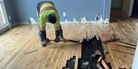 Mold Lurking Beneath Your Beautiful Hardwood Floors? Don't Panic ...