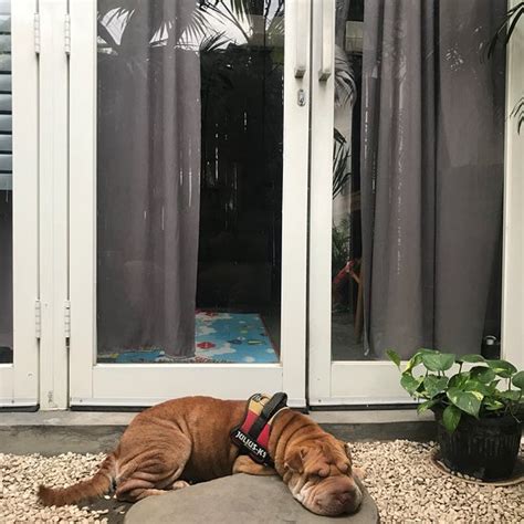 MATAKAMI HOMESTAY (Yogyakarta Region) - Hostel Reviews & Photos ...