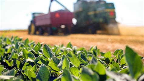 Why Is Agriculture Important? - AgriBotix