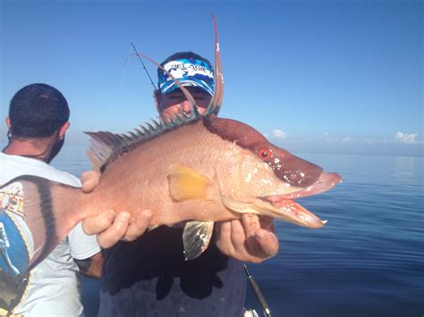 MAD BEACH WATERSPORTS (2026) All You Need to Know BEFORE You Go (with ...