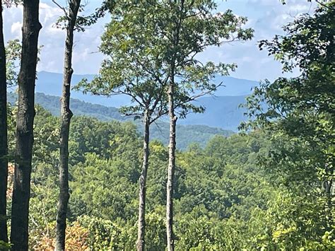 Homestead 107 - Balsam Mountain Preserve