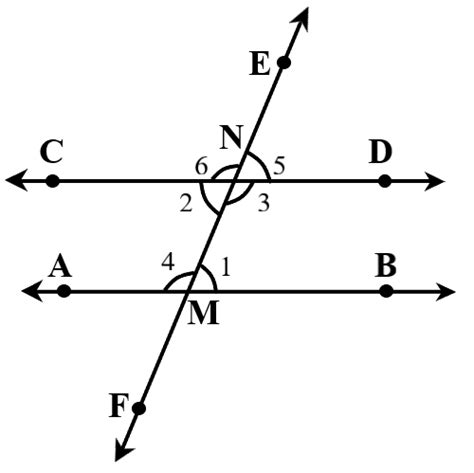 Image result for What Is Transversal Line