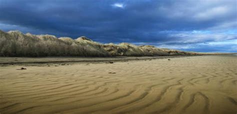 THE BEST Restaurants in New Zealand (Updated January 2026)