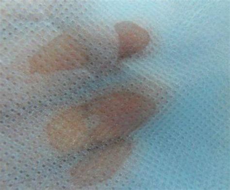 Manufacturers & Exporter of Nonwoven Fabric Machine-Kanishk Intertrade