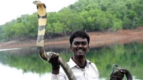 Vava's daring act inside chilling Gavi forest; watch video - SPECIAL ...