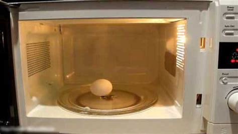实验：把生鸡蛋放进微波炉里加热会发生什么？结果让人意外！_腾讯视频