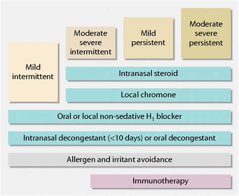 Perennial Allergic Rhinitis