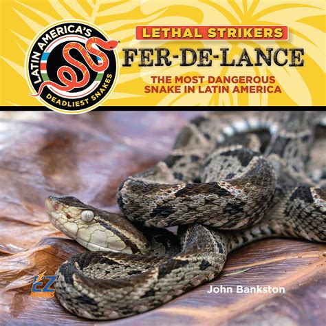 Fer-de-Lance: The Most Dangerous Snake in Latin America - Mitchell Lane ...