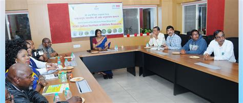 Indian Institute of Millets Research (IIMR)