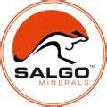 Salgo Minerals, Visakhapatnam - Manufacturer of Garnet Sand and Rutile Sand
