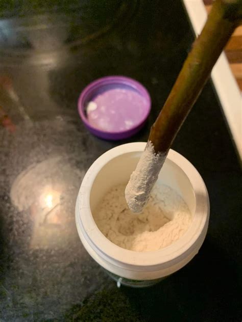 Rose Rooting Hormone