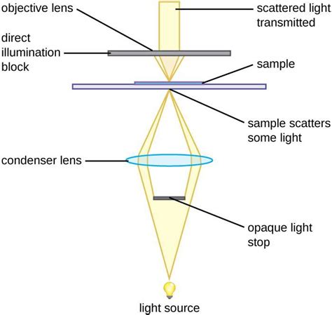 Microbiology Lab Microscope 的图像结果