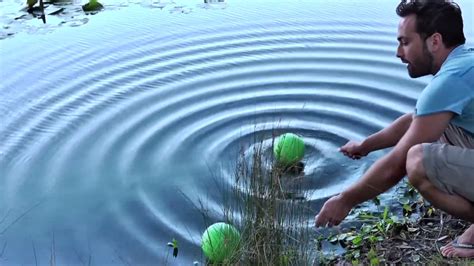 Image result for Wave Interference Video