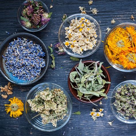 Drying Herbs For Tea: Best Methods For A Flavorful Brew | Gardening Know How