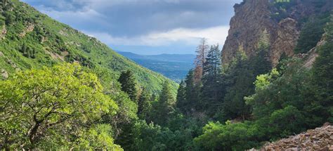 Heughs Canyon Trail, Utah - 6,067 Reviews, Map | AllTrails