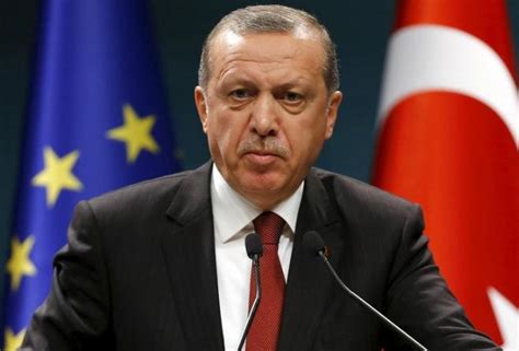 土耳其总统埃尔多安：库尔德人是我们的“兄弟”|埃尔多安|土耳其_新浪军事_新浪网