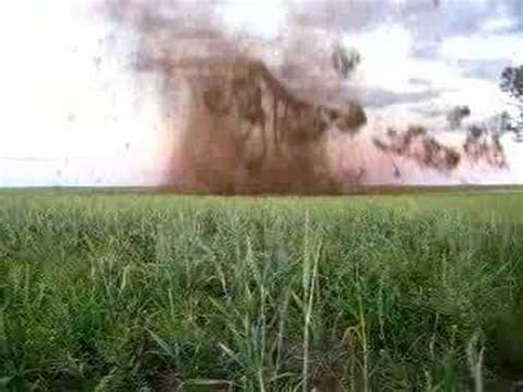 Image result for YouTube Trump Exploding Trees