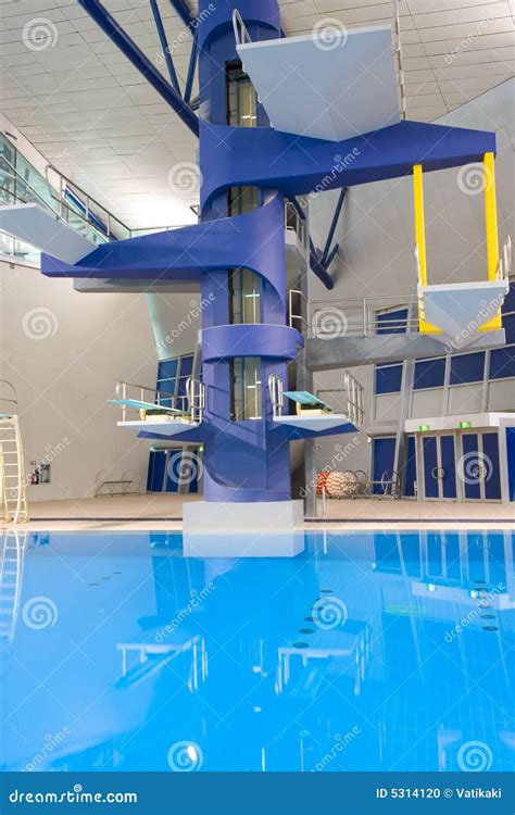 Image result for Platform Diving Event