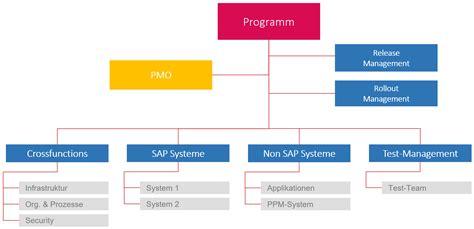 Image result for Program Management Structure