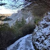 Mount LeConte Weather Forecast (2010m)