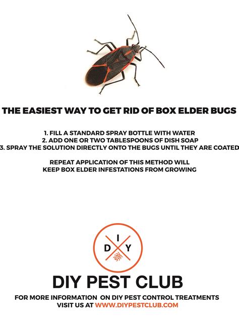 Enjoy this super-fast, cheap and incredibly easy way to get rid of Box ...