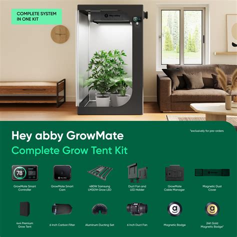 All About Weed Measurements: Weight Chart, Price and More – Hey abby