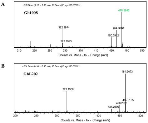 Exclusive Production of Gentamicin C1a from Micromonospora purpurea by ...